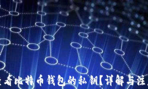 
如何查看比特币钱包的私钥？详解与注意事项