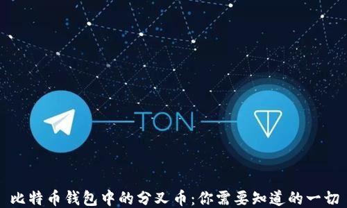 比特币钱包中的分叉币:你需要知道的一切