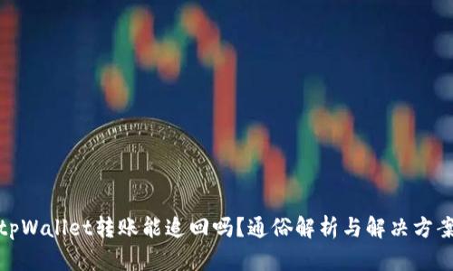 tpWallet转账能追回吗？通俗解析与解决方案