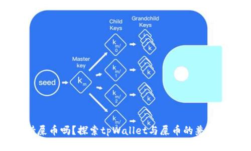 tpWallet支持屎币吗？探索tpWallet与屎币的兼容性与使用指南