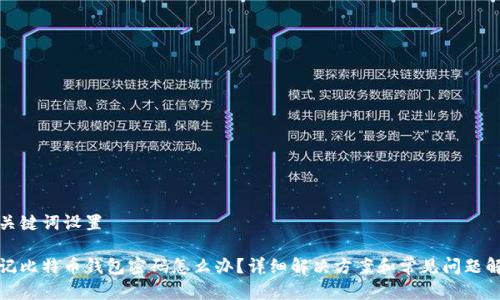 和关键词设置

忘记比特币钱包密码怎么办？详细解决方案和常见问题解析