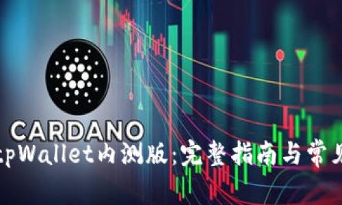 如何下载tpWallet内测版：完整指南与常见问题解答