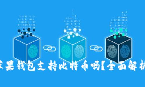 苹果钱包支持比特币吗？全面解析！