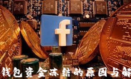 数字币钱包资金冻结的原因与解决方案