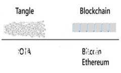 全面解析虚拟币钱包路径