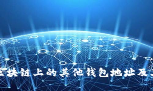 如何查看区块链上的其他钱包地址及其交易记录