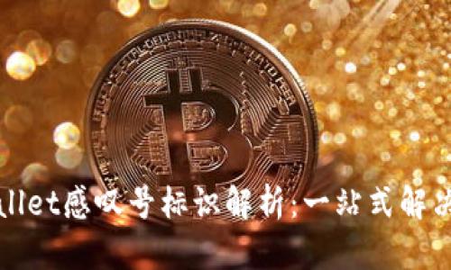 tpWallet感叹号标识解析：一站式解决方案