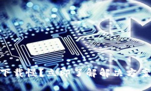 比特币钱包下载慢？立即了解解决方案，2025必看！