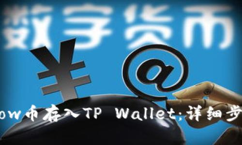如何将Flow币存入TP Wallet：详细步骤与技巧