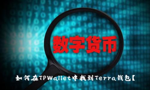 如何在TPWallet中找到Terra钱包？