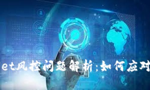 tpWallet风控问题解析：如何应对与解决