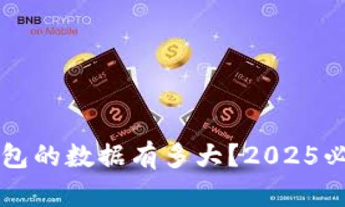 比特币钱包的数据有多大？2025必看全解析