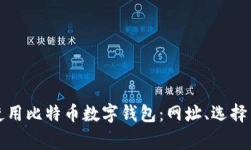 如何安全使用比特币数字钱包：网址、选择与注意事项