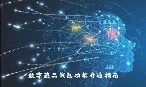 数字藏品钱包功能开通指南