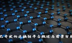 已开发的区块链平台概述