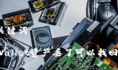 和关键词tpWallet资产丢了可