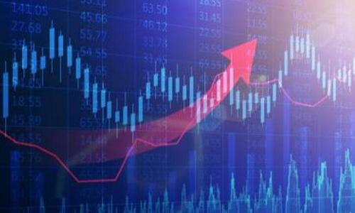 

tpWallet购买的代币在哪里？详解代币管理与存取