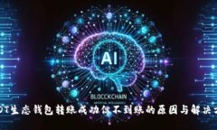 USDT生态钱包转账成功但不到账的原因与解决方案