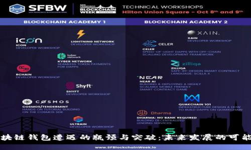 区块链钱包遭遇的瓶颈与突破：未来发展的可能性