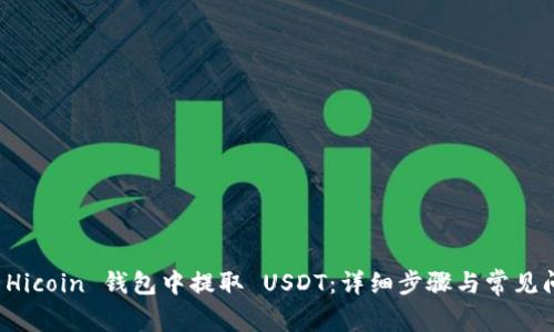 如何在 Hicoin 钱包中提取 USDT：详细步骤与常见问题解答