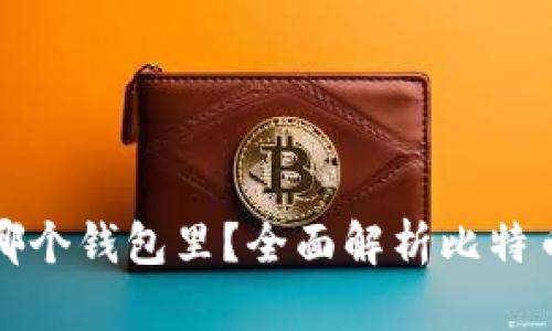 标题比特币存在哪个钱包里？全面解析比特币钱包种类与选择