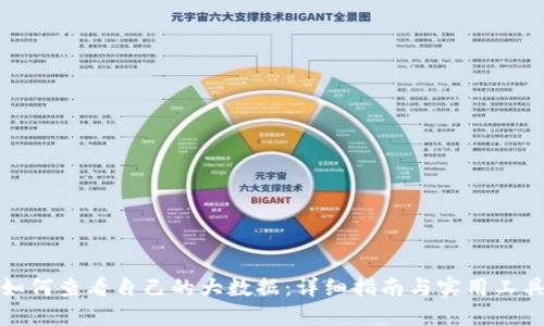 如何查看自己的大数据：详细指南与实用工具