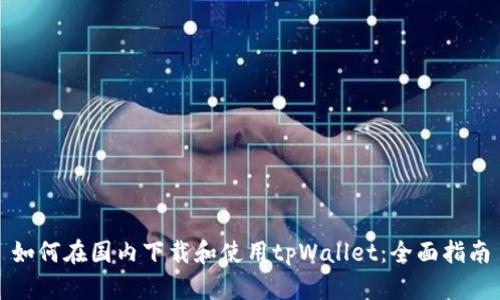 如何在国内下载和使用tpWallet：全面指南