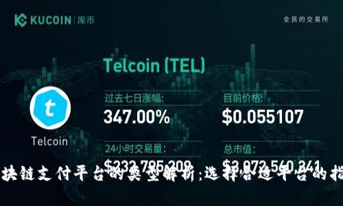 区块链支付平台的类型解析：选择合适平台的指南