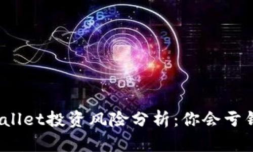 tpWallet投资风险分析：你会亏钱吗？