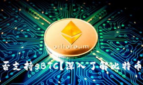 比特币钱包是否支持sBTC？深入了解比特币与sBTC的关系