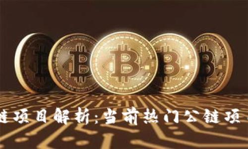 区块链公链项目解析：当前热门公链项目及其特点