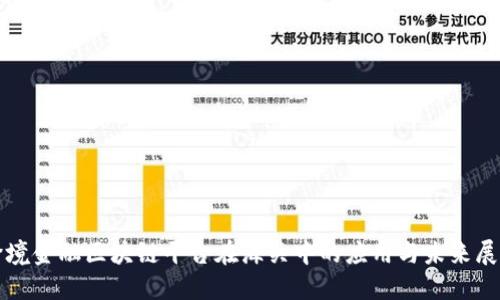 跨境金融区块链平台在海关中的应用与未来展望