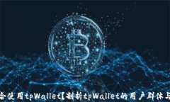 谁适合使用tpWallet？剖析