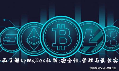 全面了解tpWallet私钥：安全性、管理与最佳实践