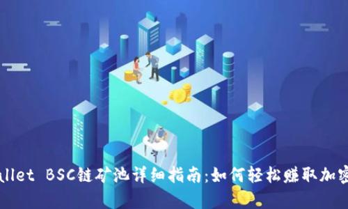 tpWallet BSC链矿池详细指南：如何轻松赚取加密货币