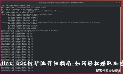 tpWallet BSC链矿池详细指南：如何轻松赚取加密货币
