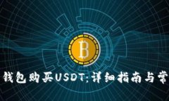 如何在波币钱包购买USDT：详细指南与常见问题解