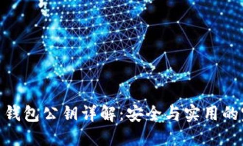 数字货币钱包公钥详解：安全与实用的完美结合