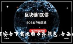 如何安全下载比特币冷钱