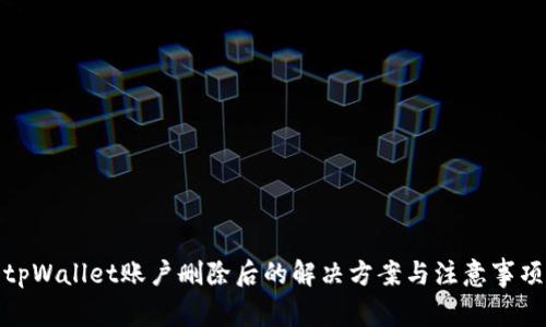 tpWallet账户删除后的解决方案与注意事项