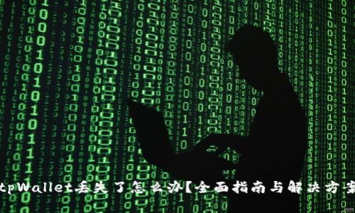 tpWallet丢失了怎么办？全面指南与解决方案