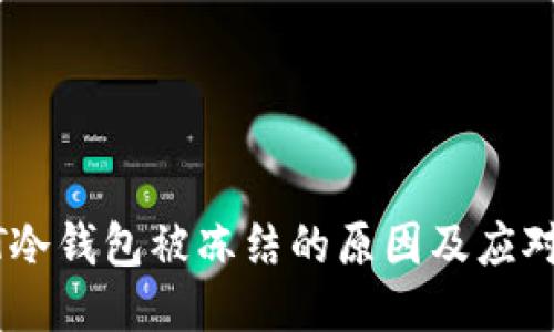 USDT冷钱包被冻结的原因及应对策略