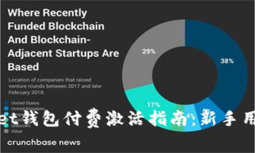 tpWallet钱包付费激活指南：新手用户必读