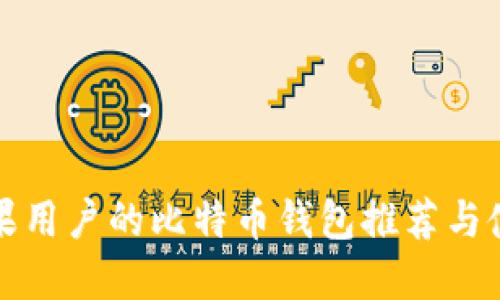 适合苹果用户的比特币钱包推荐与使用指南