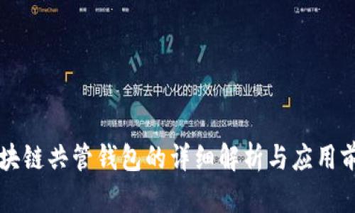 区块链共管钱包的详细解析与应用前景