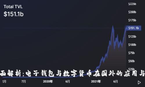 : 全面解析：电子钱包与数字货币在国外的应用与趋势