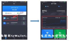 全面解析tpWallet：连接BS