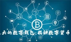 全球最大的数字钱包：揭