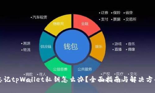 忘记tpWallet私钥怎么办？全面指南与解决方案