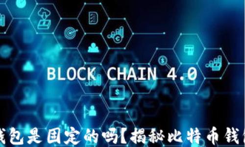 
比特币钱包是固定的吗？揭秘比特币钱包的特性
